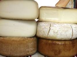 Lässt sich Gras ersetzen?: Hitzerekorde setzen Frankreichs Käse zu
